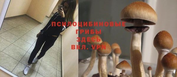 круглые Арсеньев